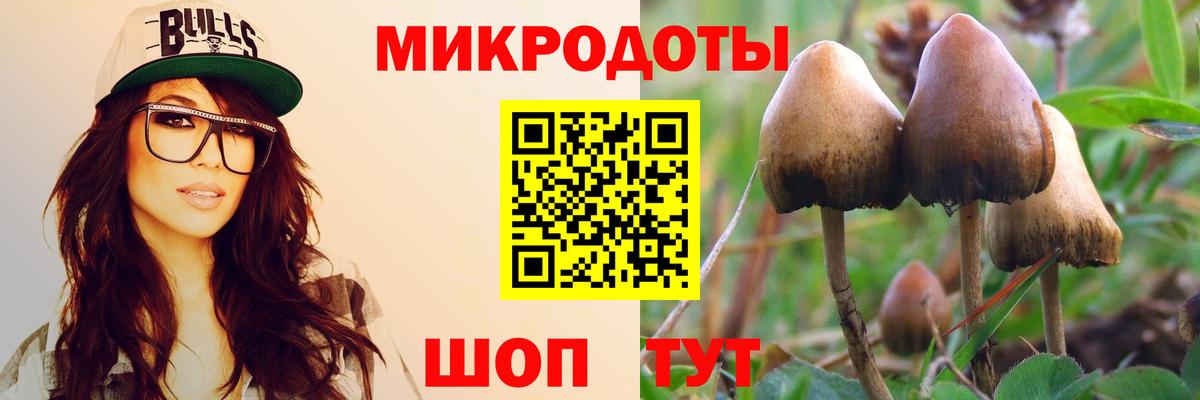 Псилоцибиновые грибы Psilocybine cubensis  Вход с VPN  Дербент 